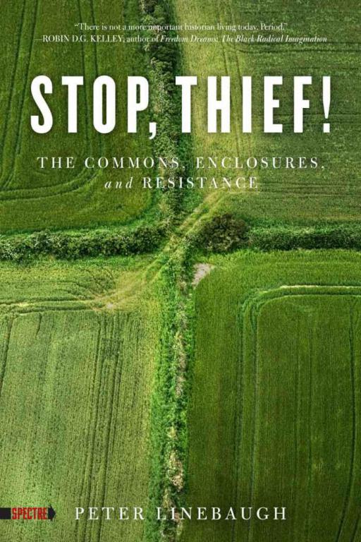 Cover of Stop Thief! by Peter Linebaugh