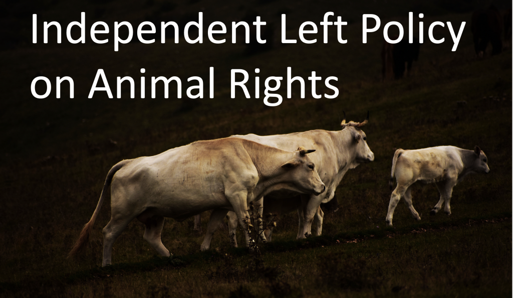 Independent Left policy on Animal rights