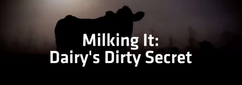 End Animal Farming. Dairy's Dirty Secret.